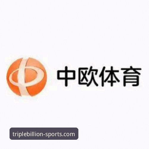 三亿体育平台官方APP深度解析：从下载到精通的全方位使用指南